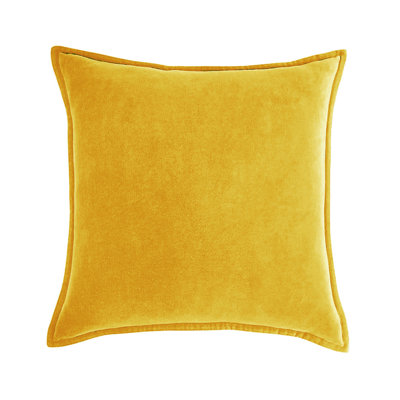 (Couvertures avec insertions) Ensemble de 2 coussins décoratifs en velours de polyester de couleur unie