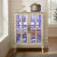 Armoire de rangement en verre avec bande lumineuse RVB en couleur et 2 tablettes réglables