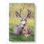 A Resting Deer - Wrapped Canvas-61854423