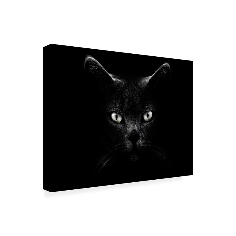 Antonio Grambone  Black Cat Portrait Canvas Art, L 19 po x H 14 po