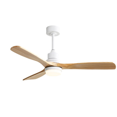 Ventilateur de plafond moderne à 3 pales de 52 po avec télécommande et ensemble d'éclairage Nicola