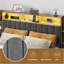 Storage Bed with  LED Lights and Charging Station