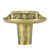 Florentine Gold