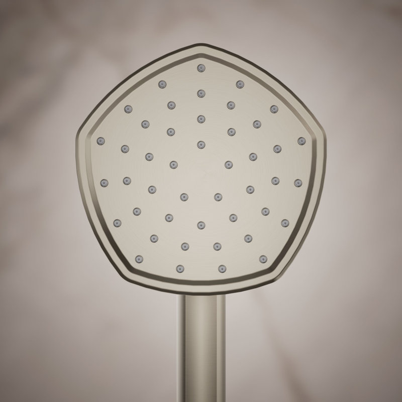 Occasion Single-Function 2.5 Gpm Handshower, Vibrant Brushed Nickel