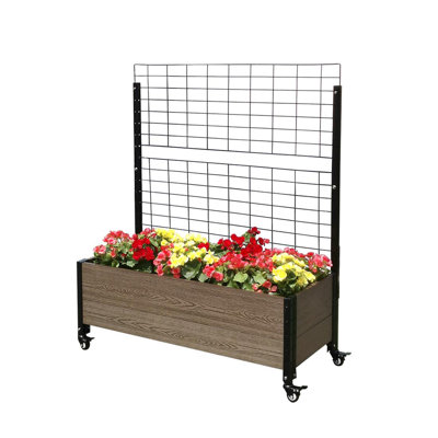 Vertical Garden with Trellis