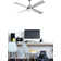 Aaltsje 122cm Ceiling Fan with Light Kit