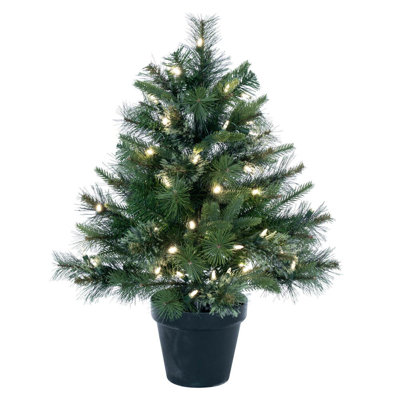 24" x 21" Cashmere Pine LED 50WW