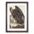 Walnut Framed selected