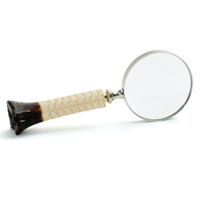 Loupe D'os D'argent
