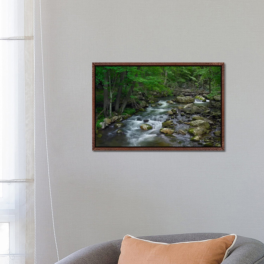 Little Stony Creek Flowing Through Jefferson National Forest, Virginia von Tim Fitzharris - Gallery-Wrapped Canvas Giclé...