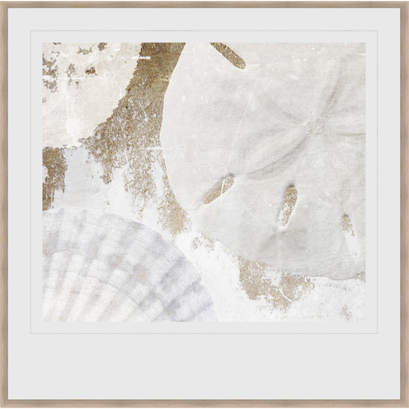 " White Shells I "