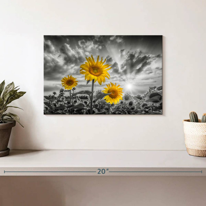 Harnek tournesols au coucher du soleil de couleur jaune, H 8 po x l 12 po