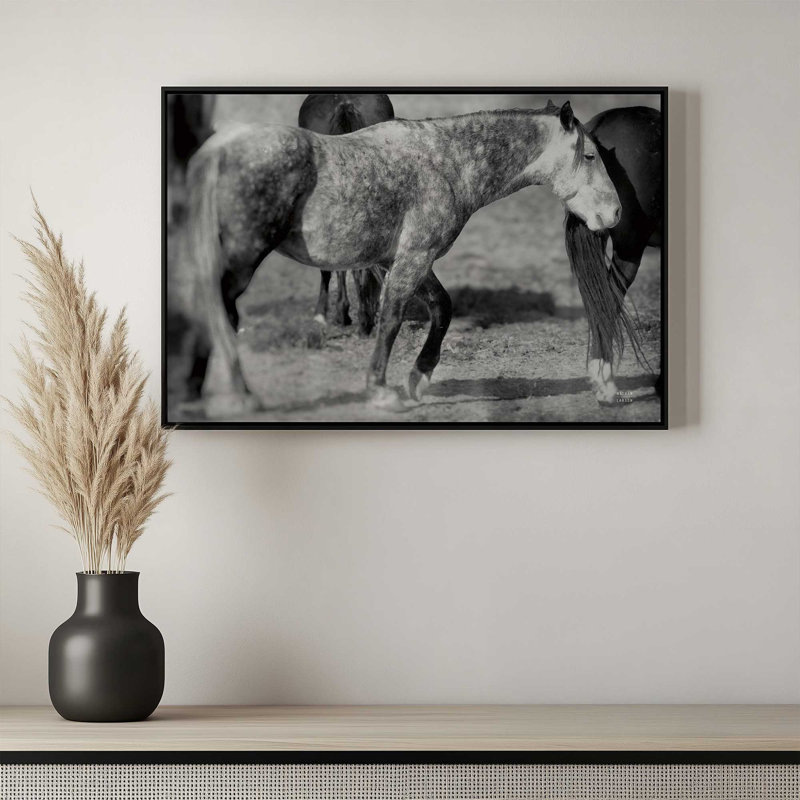 «Painted Pony» par Nathan Larson, reproduction d'art, 18 W x 12 H, Tan, Framed Canvas