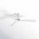 Trini 56'' 3 Blade Ceiling Fan with LED Light Kit