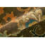 Tapis damassé transitionnel Namche-1916706218-1916706198