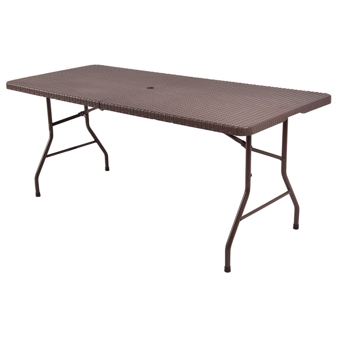 Lederer 72" Plastic Rectangular Folding Picnic Table Ebern Designs