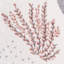 Clowers Tufted Pink/Grey Rug
