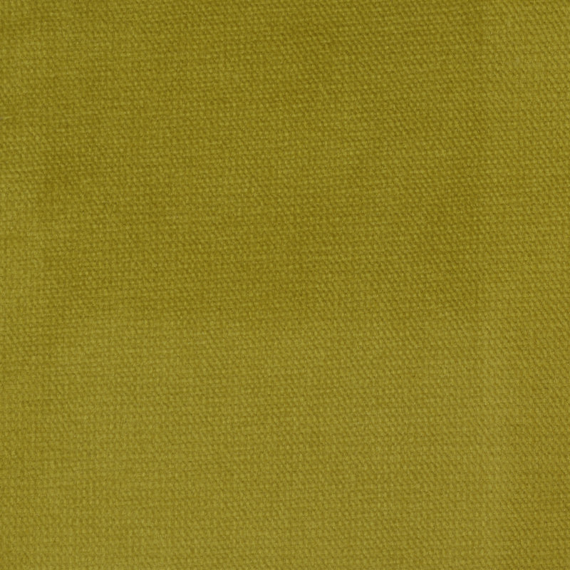 Velours de satin de coton Belvedere-Byron, Curry