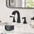 2-handle Bathroom Faucet with Drain Assembly-61235857