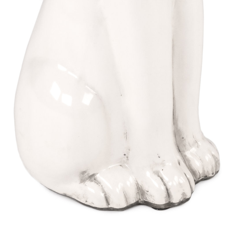 Ahnaf Animal Rabbit
