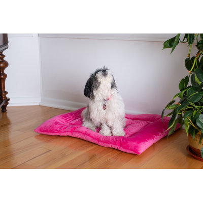 Tapis pour chien en velours doux