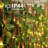 396'' Solar Rope Lights