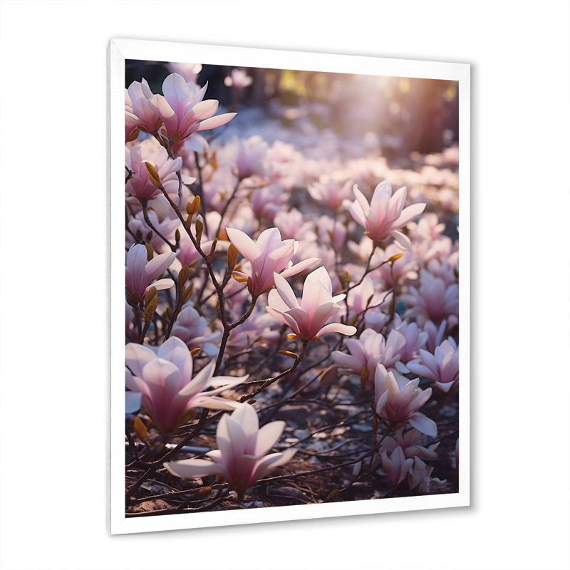 Rose, brun, magnolia, nature, sérénité II, Cadre simple blanc, H 44 po x l 34 po x P 1,5 po