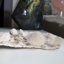 Thomsonite et Stilbite exceptionnels avec heulandite