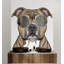 Décalcomanie murale Pitbull Dog - amoureux des chiens, décoration en vinyle-119827095