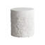 Pismo Drum End Table