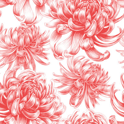 Pink Asters Wallpaper