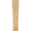 Attelle impériale du genou-31229279-31229287-29309855