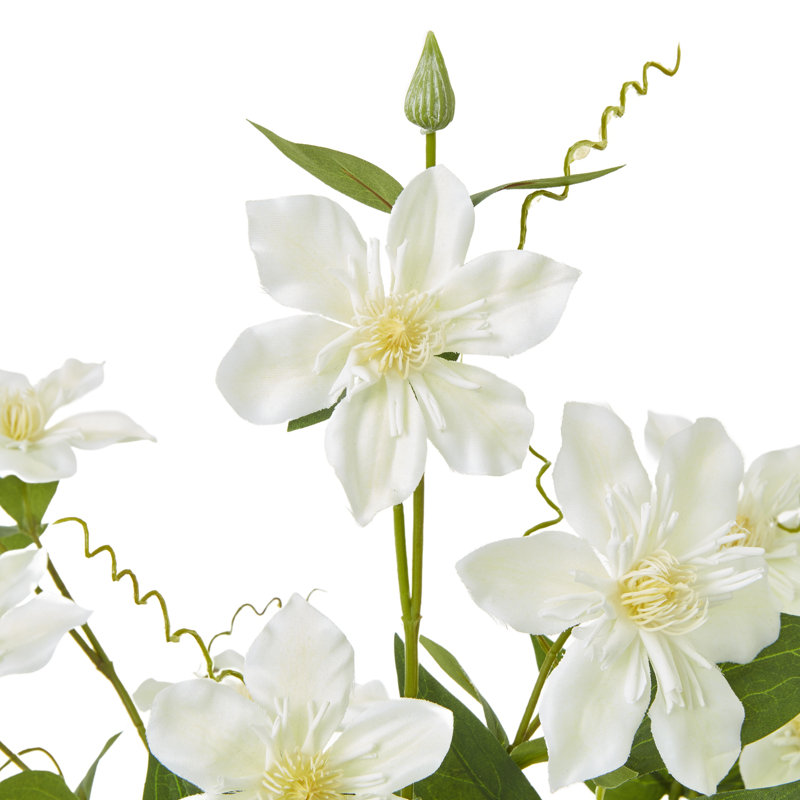 Arrangement