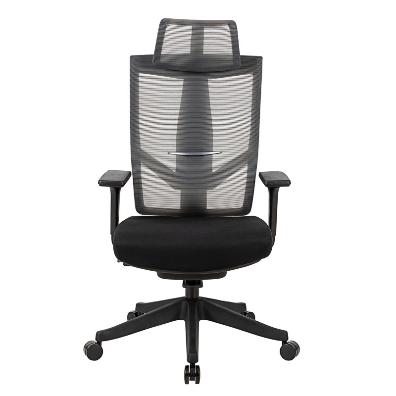 Kristijo Mesh Task Chair with Headrest