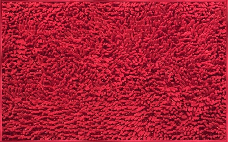 Daniels Bath Shaggy Chenille Rectangle Microfiber Non-Slip Shower mat ...