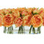 Peonies Arranged in a Glass Vase-1218887325