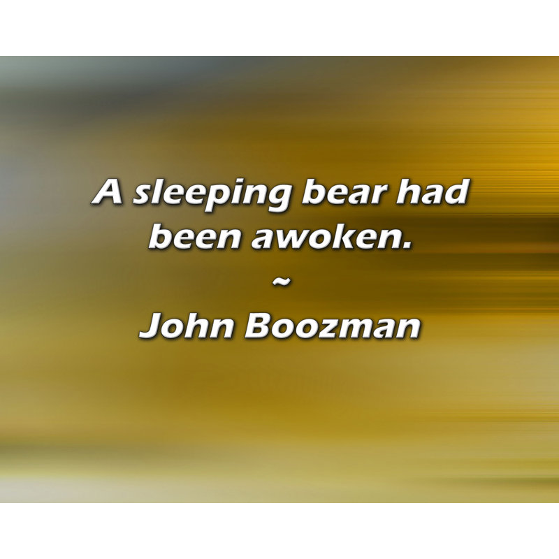 Citation de John Boozman: Un ours endormi a été réveillé., H 26 po x l 32 po