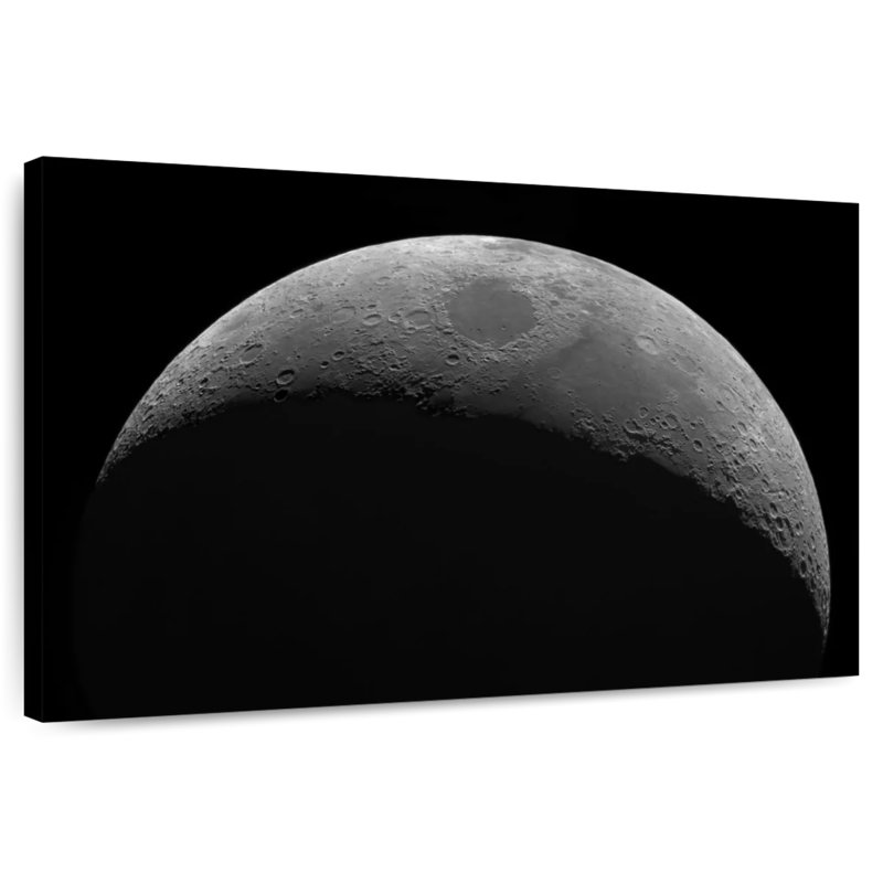 Oberle Dull Moon