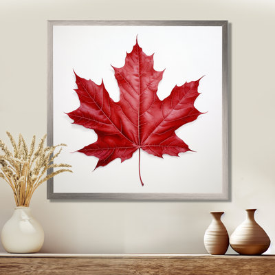 Scarlet Maple Leaf Simplicity I - Leaves Framed Canvas Print