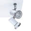 Linder Glass Spotlight