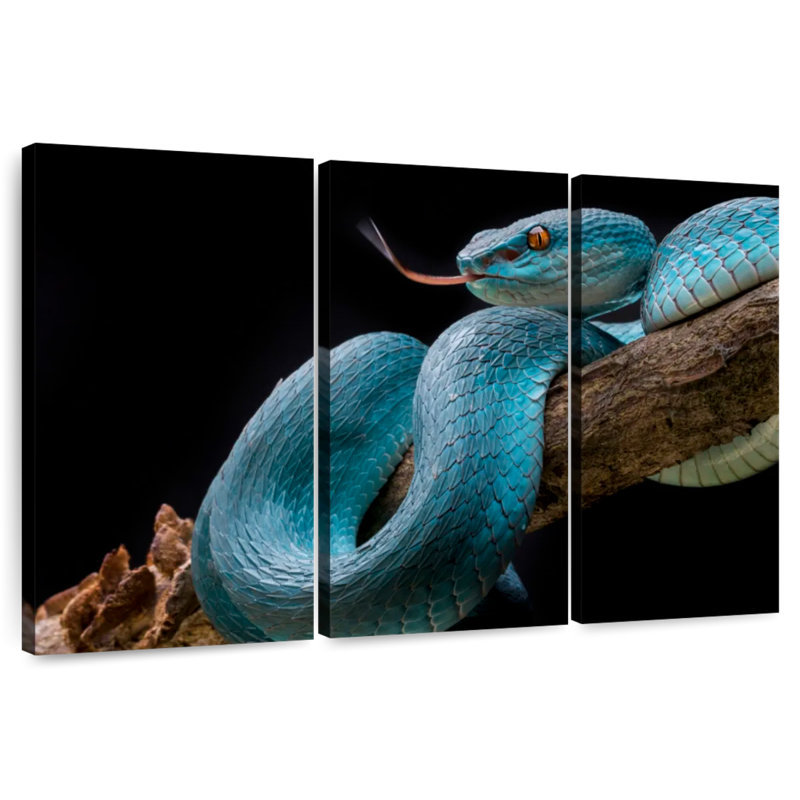 Brampt Slithering Blue Viper, 36" H x 57" W