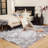 Kellor Washable Silver Gray Fluffy Faux Sheepskin Fur Shag Area Rug-1452041576