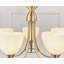Barium 5 - Light Shaded Chandelier-14439532