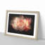 Pink Tipped Roses - Picture Frame Graphic Art Print-56861264-56861269
