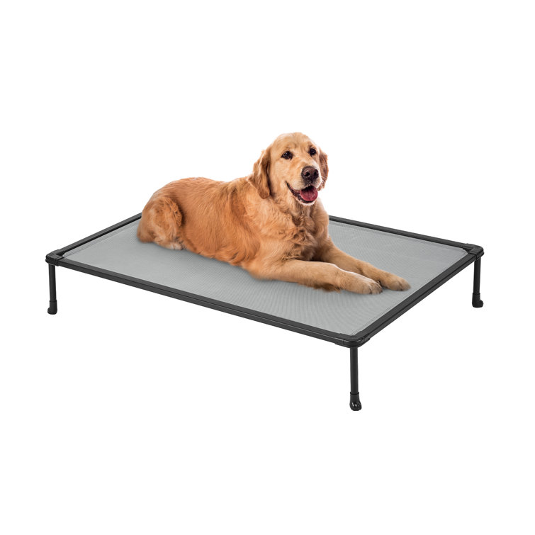 Tucker Murphy Elevated Bed Chewproof Cooling Raised Dog Cots Beds, Outdoor Metal Frame Pet Training Platform