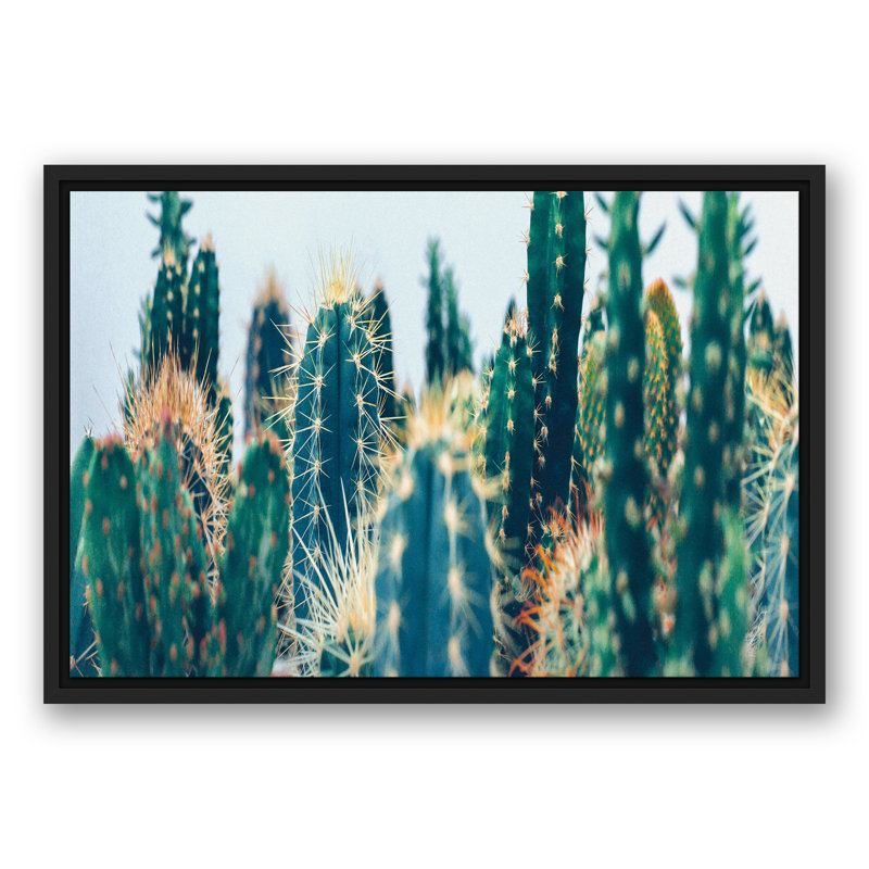 Jardin de cactus, H 17,75 po x l 25,75 po x P 1,75 po