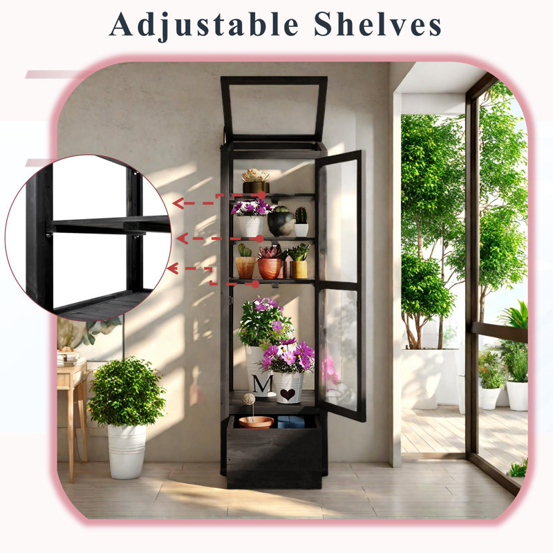 Black Fir Wood Garden Greenhouse with Adjustable Shelves and Storage Box