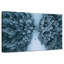 Pins recouverts de neige Alvord-111833600