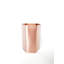 Shantel Metal Pot Planter
