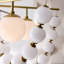 Genesis 5 - Light Chandelier